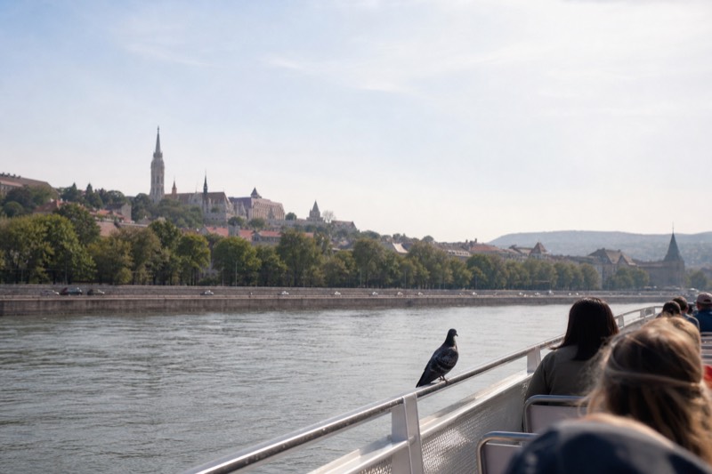 A Danube sightseeing boat passing Fisherman's Bastion and Buda Castle in Budapest