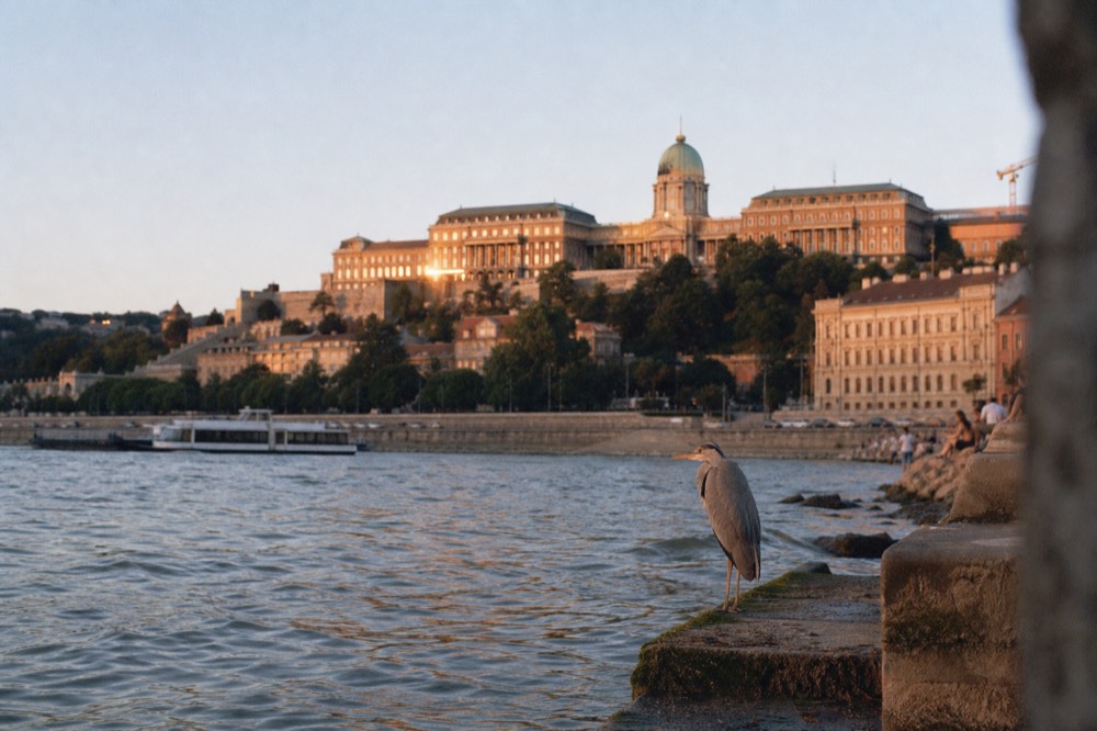 Buda Castle and the Danube banks seen from the water in golden evening light, no text, no logos, no people